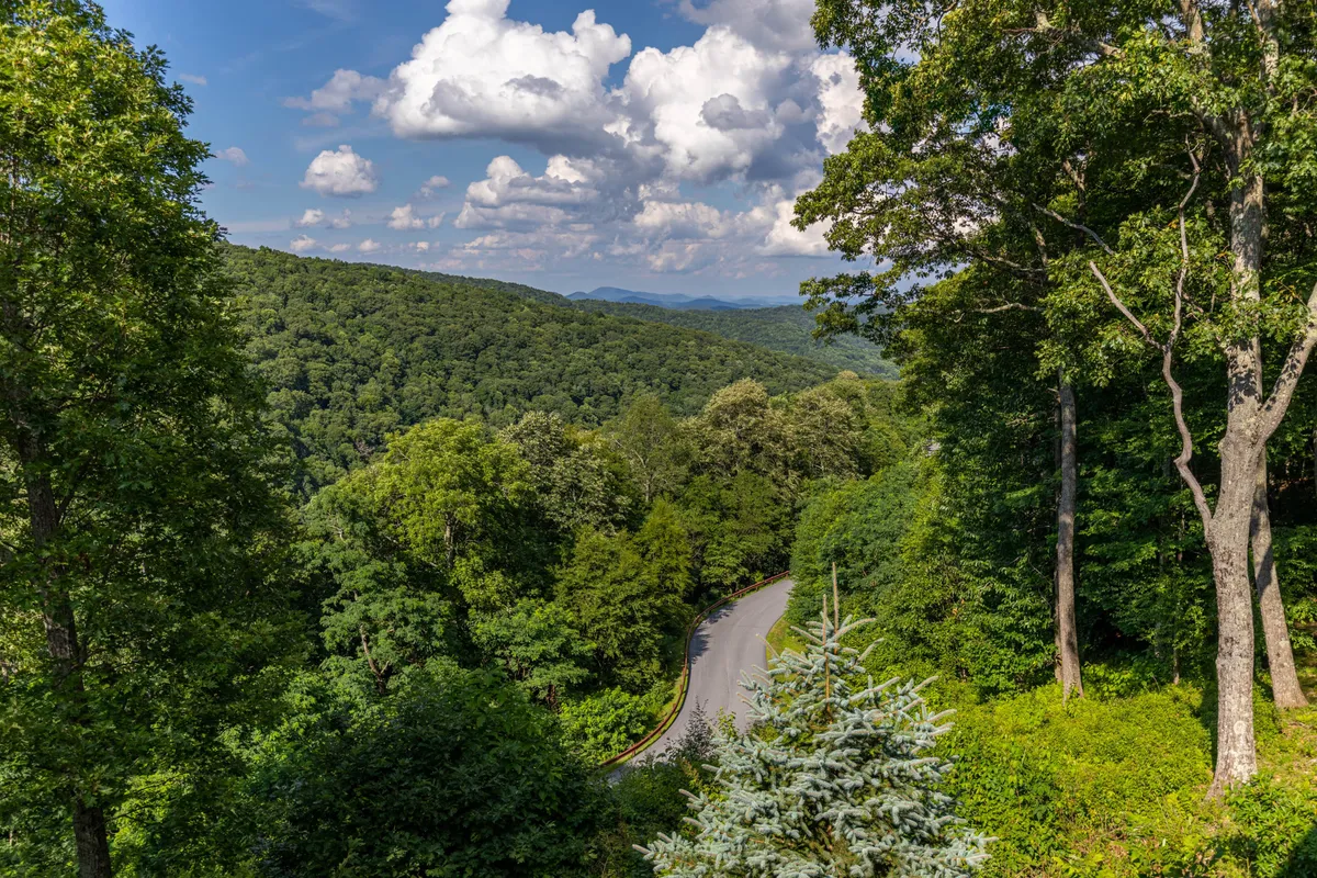 A scenic view featuring a curving road winding through dense greenery, with distant mountains and a cloudy sky. The image evokes the experience of embarking on scenic drives, hikes, and outdoor adventures in the Boone area.