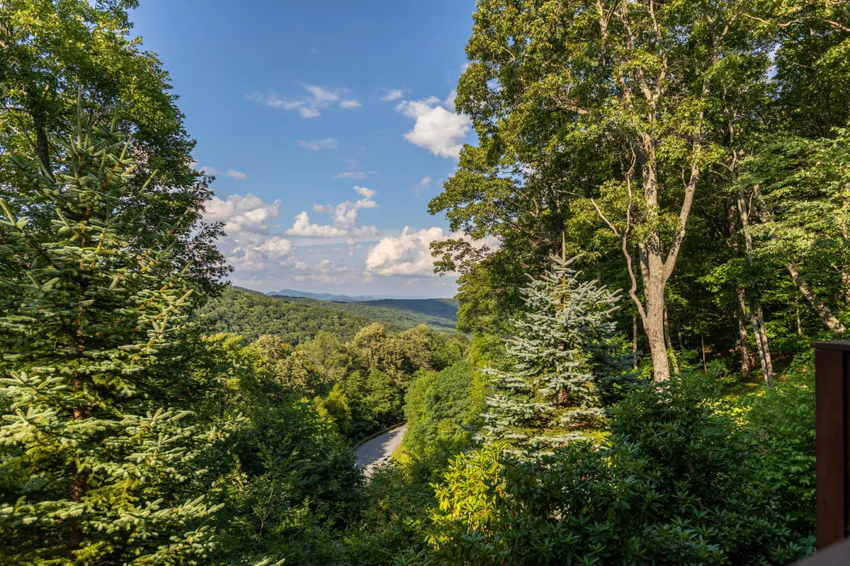 A panoramic view of lush green trees, rolling hills, and a gently curving road—capturing the essence of local hiking trails and parks near the home. The scene is tranquil, with soft morning light hinting at the promise of new adventures.